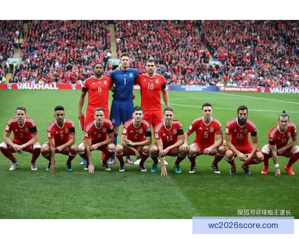 世界杯竞猜预测策略解析与热门球队数据趋势全面前瞻参考指南